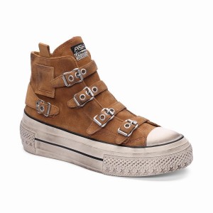 Women Ash Rainbow Suede Buckle Hightop Sneakers Brown | 970224-036