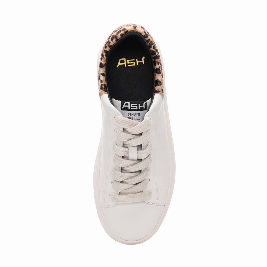 Women Ash Moby Leopard Platform Sneakers White | 599660-512