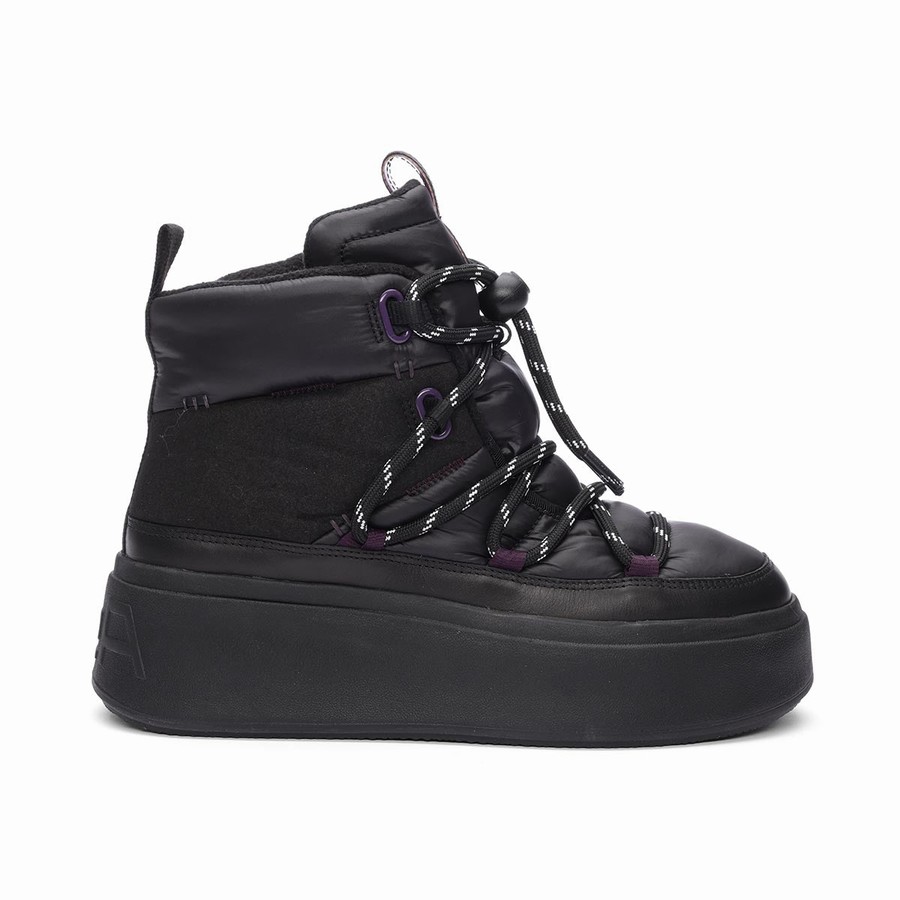 Women Ash Montana Puffy Nylon Winter Boots Black | 083569-979