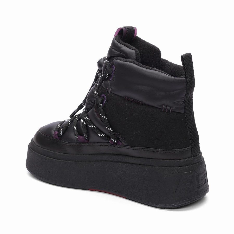 Women Ash Montana Puffy Nylon Winter Boots Black | 083569-979