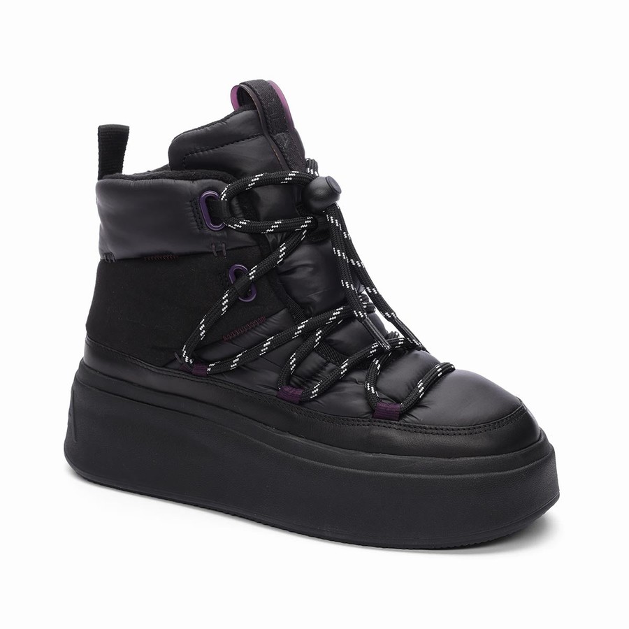 Women Ash Montana Puffy Nylon Winter Boots Black | 083569-979