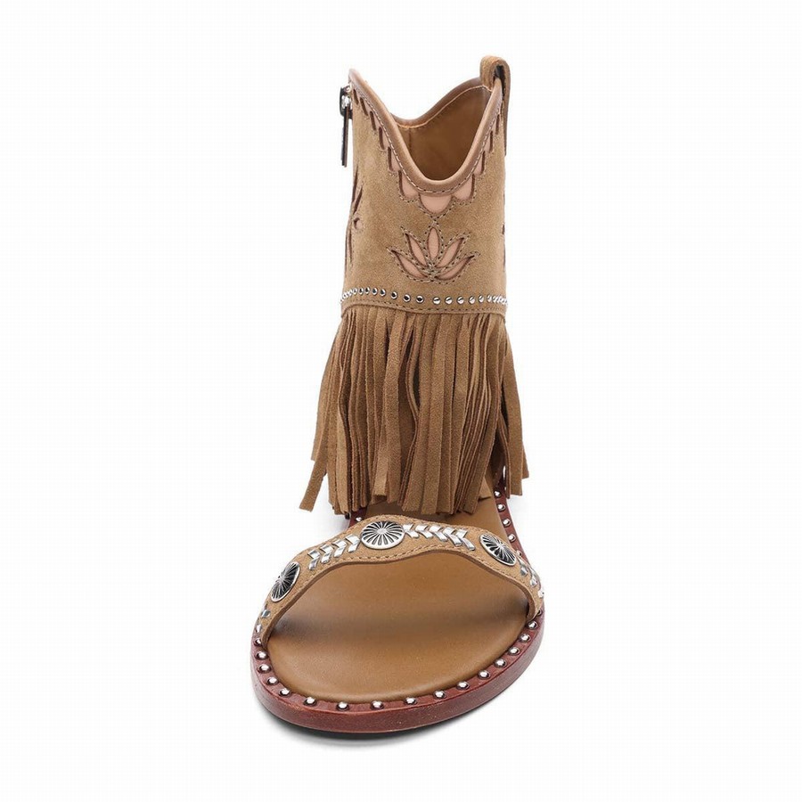 Women Ash Paquito Embellished Fringe Sandals Brown | 616361-875