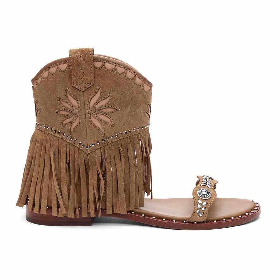 Women Ash Paquito Embellished Fringe Sandals Brown | 616361-875