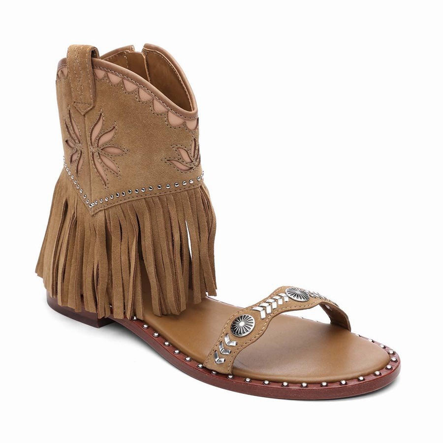 Women Ash Paquito Embellished Fringe Sandals Brown | 616361-875