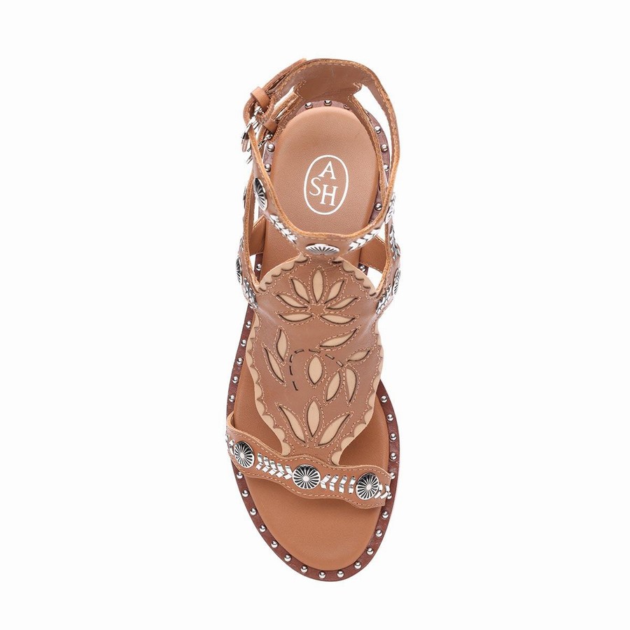 Women Ash Paraiba Embellished Flat Sandals Brown | 570326-931