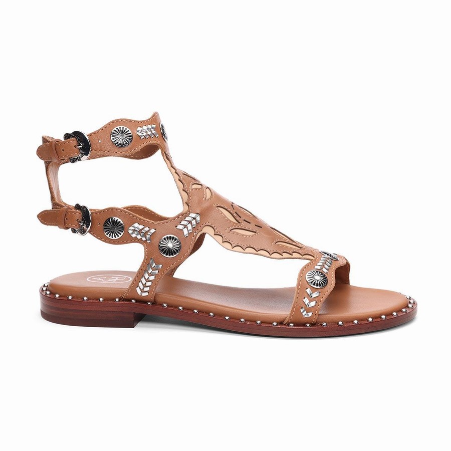 Women Ash Paraiba Embellished Flat Sandals Brown | 570326-931