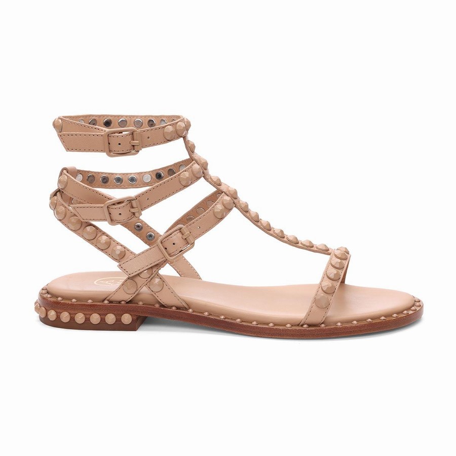 Women Ash Play Bis Tonal-Studded Flat Sandals Brown | 227194-791