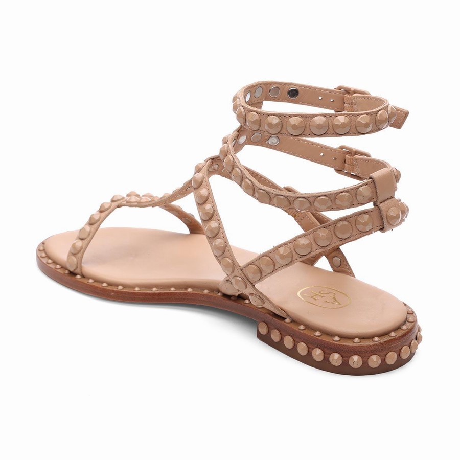 Women Ash Play Bis Tonal-Studded Flat Sandals Brown | 227194-791