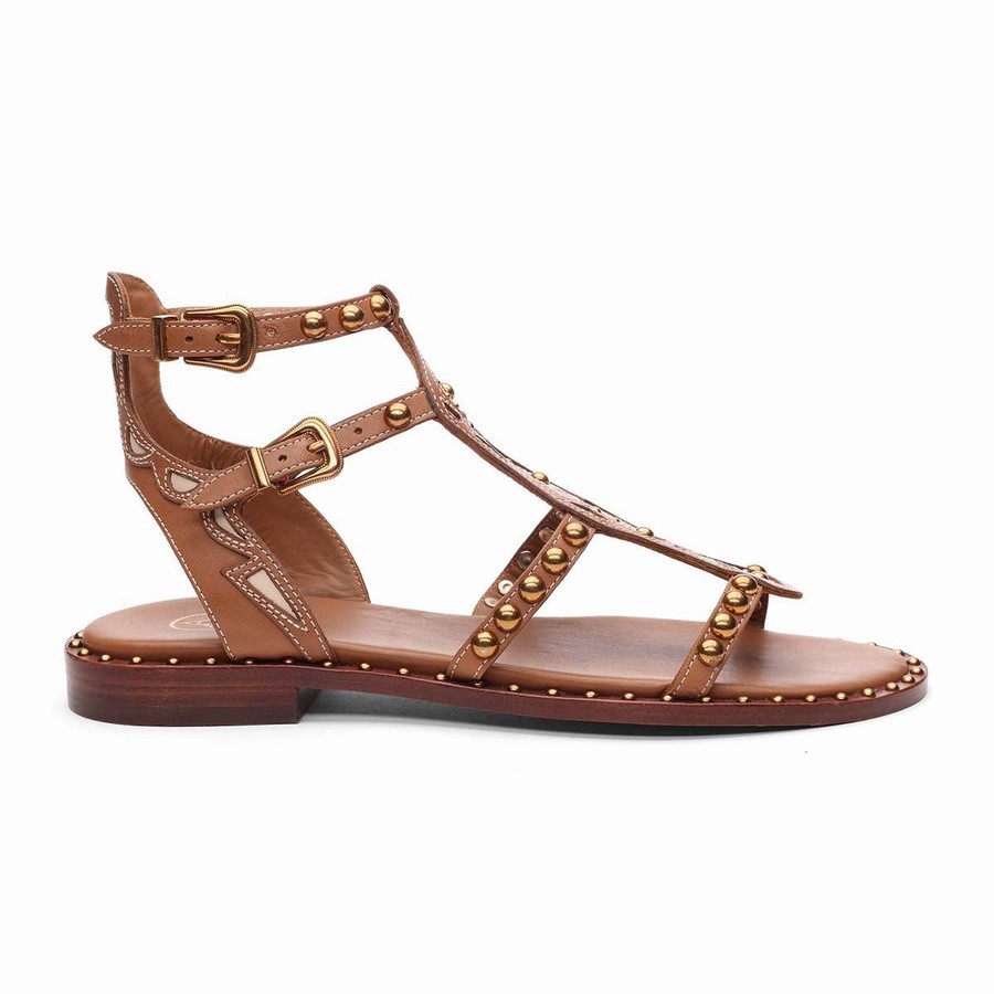 Women Ash Plaza Studded Flat Sandals Brown | 220531-587