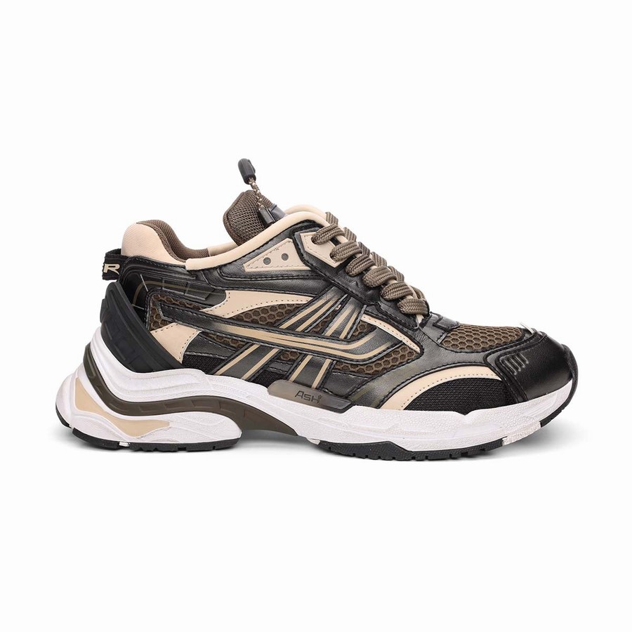 Women Ash Race Fashion Sneakers Brown | 940164-385