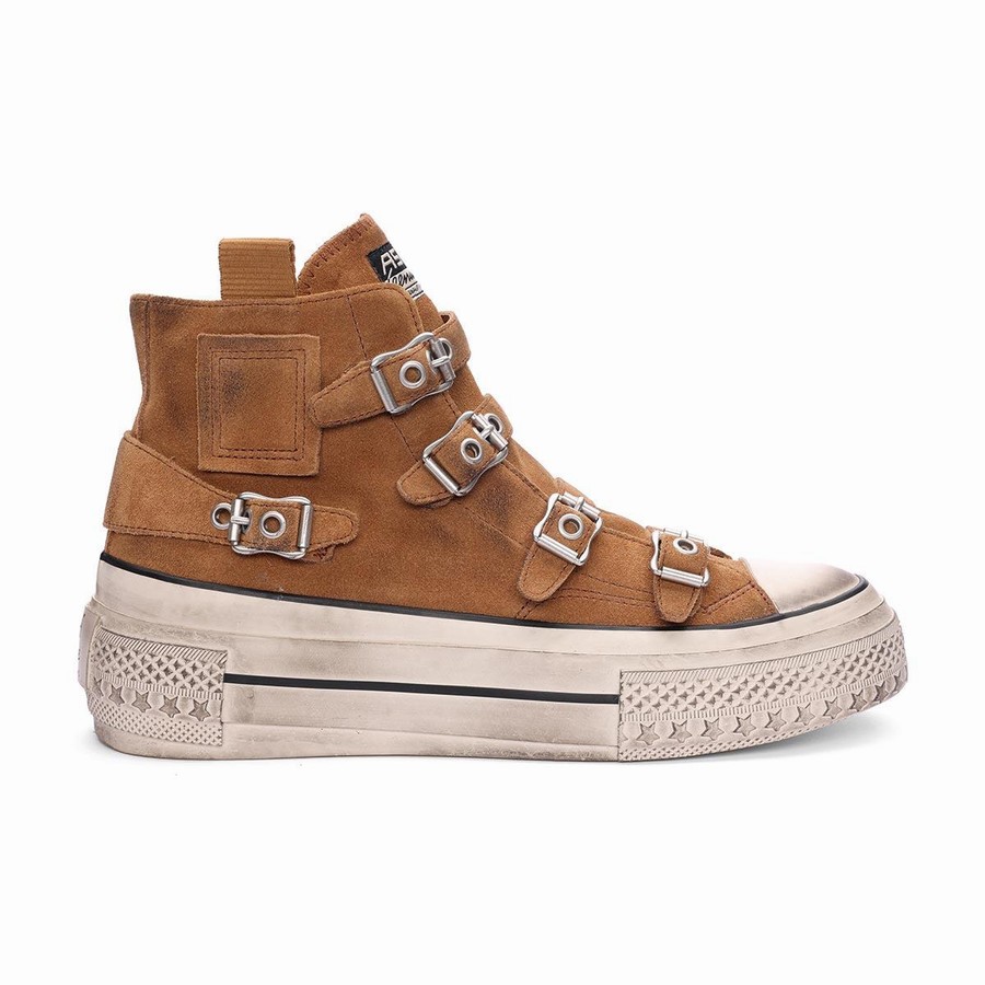 Women Ash Rainbow Suede Buckle Hightop Sneakers Brown | 970224-036