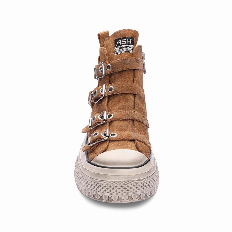 Women Ash Rainbow Suede Buckle Hightop Sneakers Brown | 970224-036