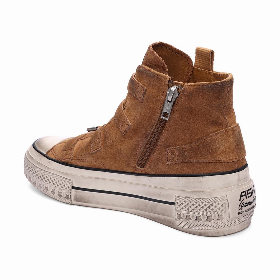 Women Ash Rainbow Suede Buckle Hightop Sneakers Brown | 970224-036